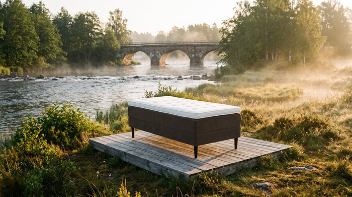 Lagan-säng vid ån Lagan med stenbro och morgondimma